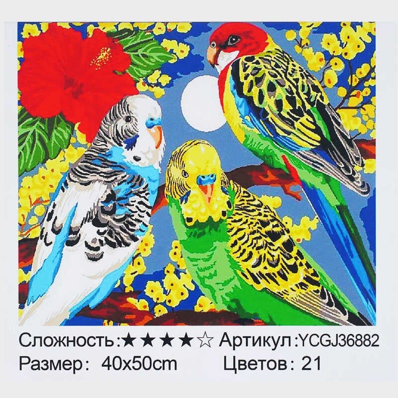 Картина за номерами YCGJ 36882 (30) "TK Group", 40х50 см, “Веселі папужки”, в коробці