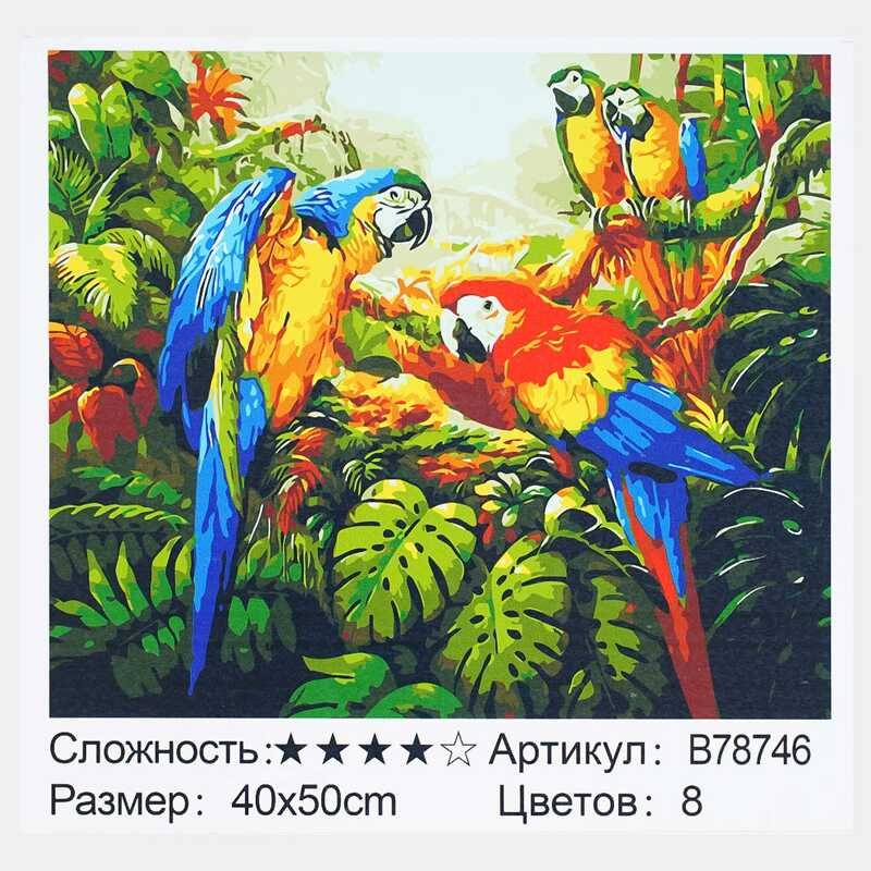 Картина за номерами + Алмазна мозаїка B 78746 (30) "TK Group", 40х50 см, "Папуги", в коробці