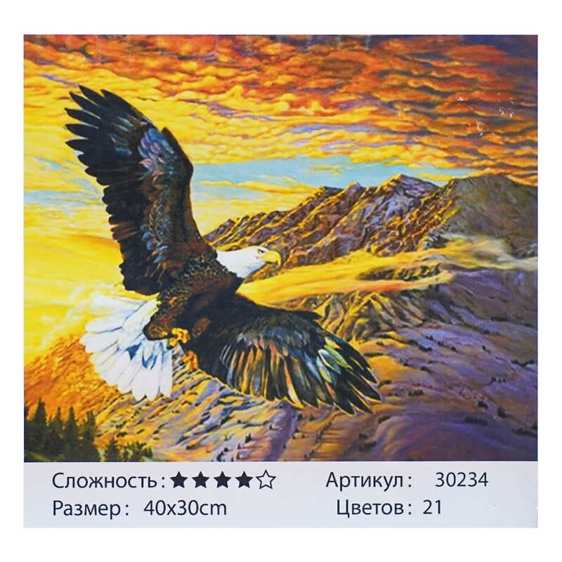 Картина за номерами 30234 (30) "TK Group", "Вільний орел", 40х30 см, у коробці