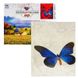 Картина за номерами + Алмазна мозаїка B 78640 (30) "TK Group", 40х50 см, "Метелик", в коробці