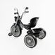 Дитячий велосипед триколісний з українською озвучкою (BS-67800) Best Trike колеса EVA переднє 10&rsquo;&rsquo;, заднє 8&rsquo;&rsquo;, сталева рама