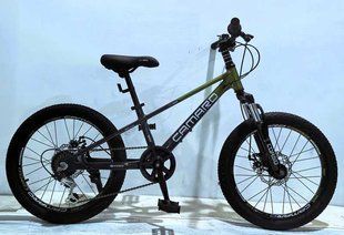 Дитячий спортивний велосипед 20" дюймів Corso &laquo;Camaro&raquo; CM-91254