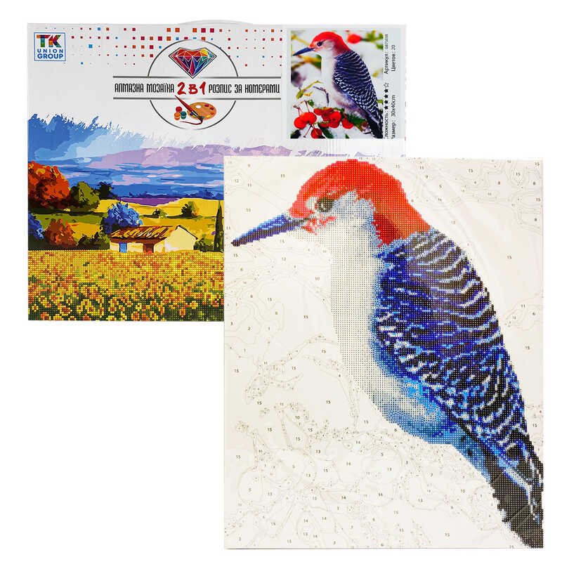 Картина по номерам + Алмазная мозаика 2в1 YHDGJ 75038 (30) "TK Group", 50х40см, "Зимняя птичка", в коробке